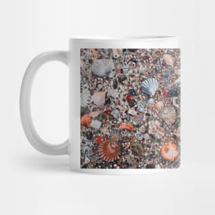 'Seashells & Sand' Mug